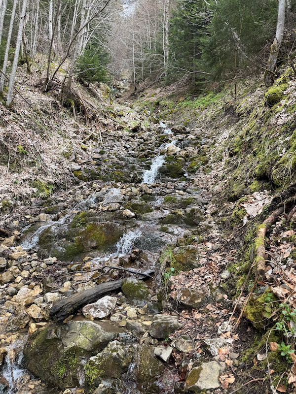 photo_18